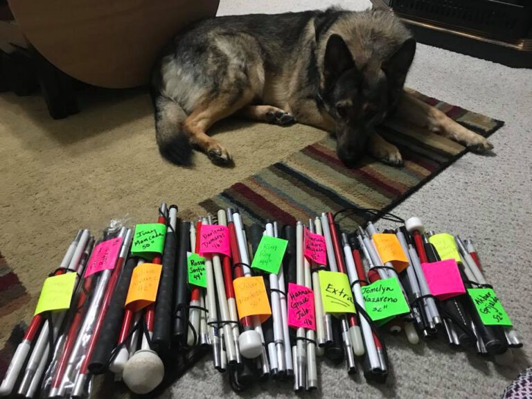 A german shepard laying next to a bundle of mobility canes with names attached to them, ready to be delivered!
