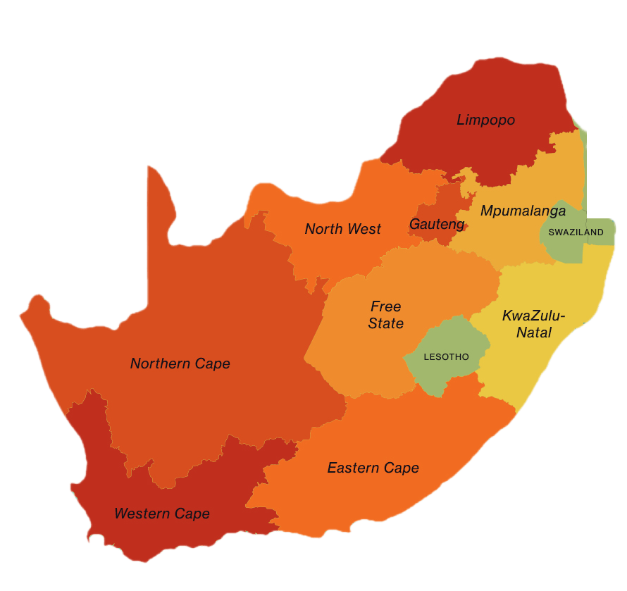 You are currently viewing 🌍 You Cane Give: South Africa Mission Update – Delivering Hope & Mobility